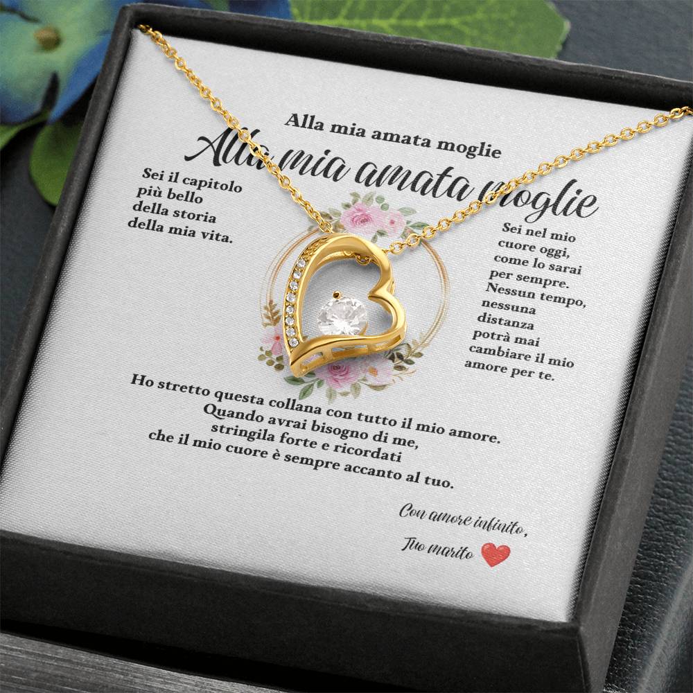 Alla mia amata moglie (2)